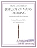 Jesu, Joy of Man's Desiring (Soprano Recorder and Keyboard)